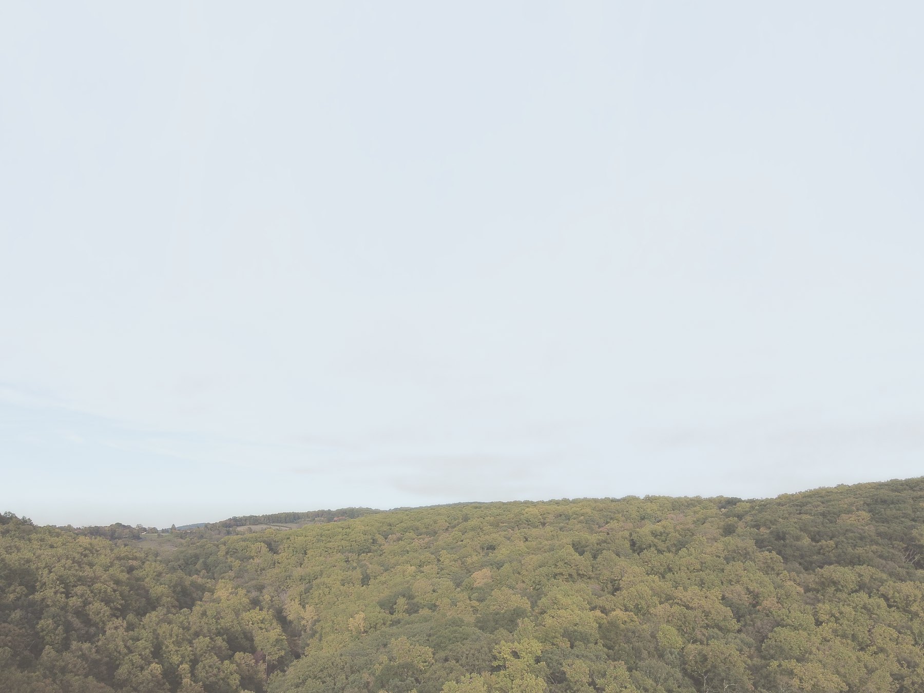 A wide, forested ridge under a soft, hazy sky, seen from high above