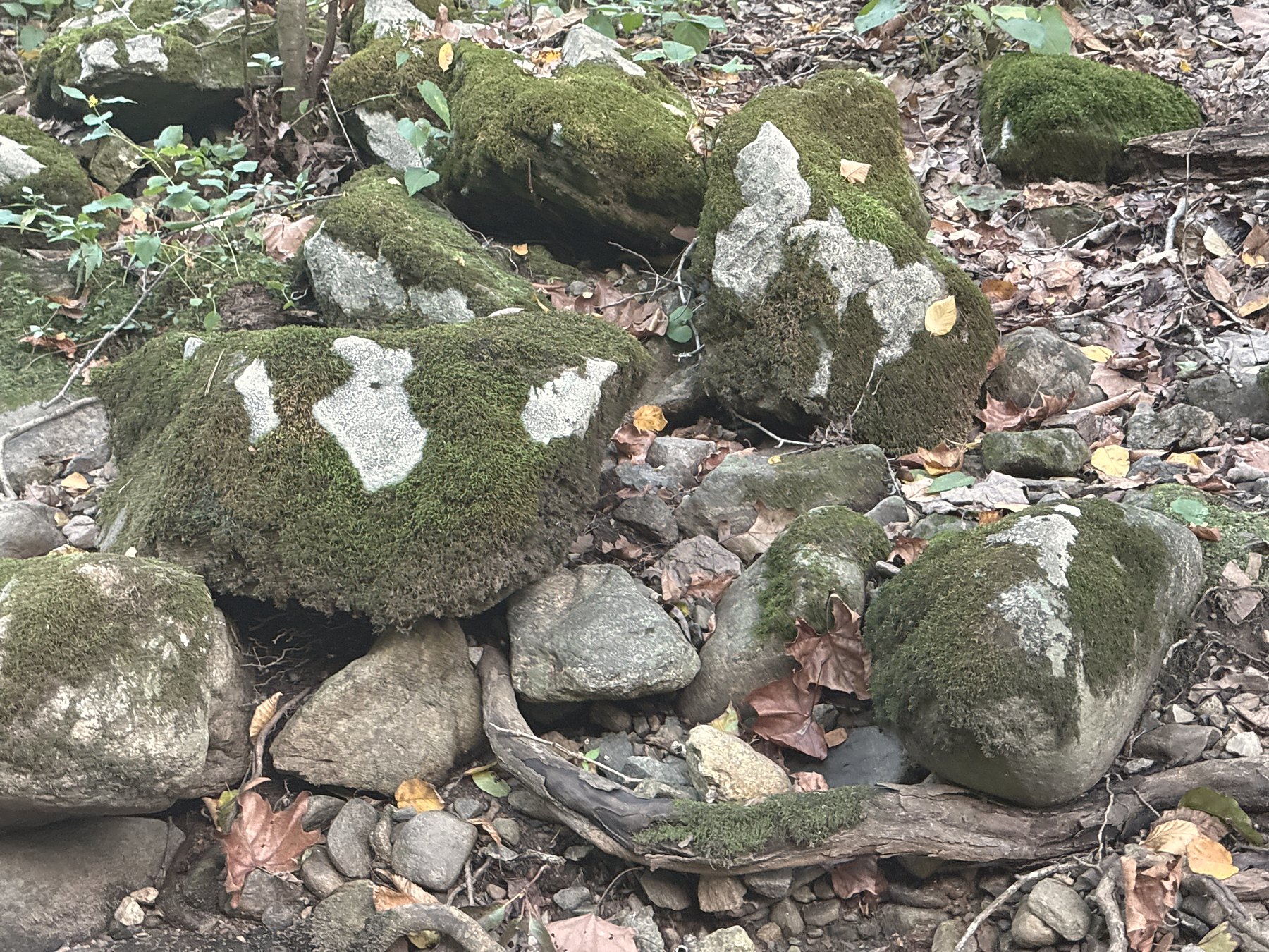Moss-covered stones at the edge of the water, at your feet