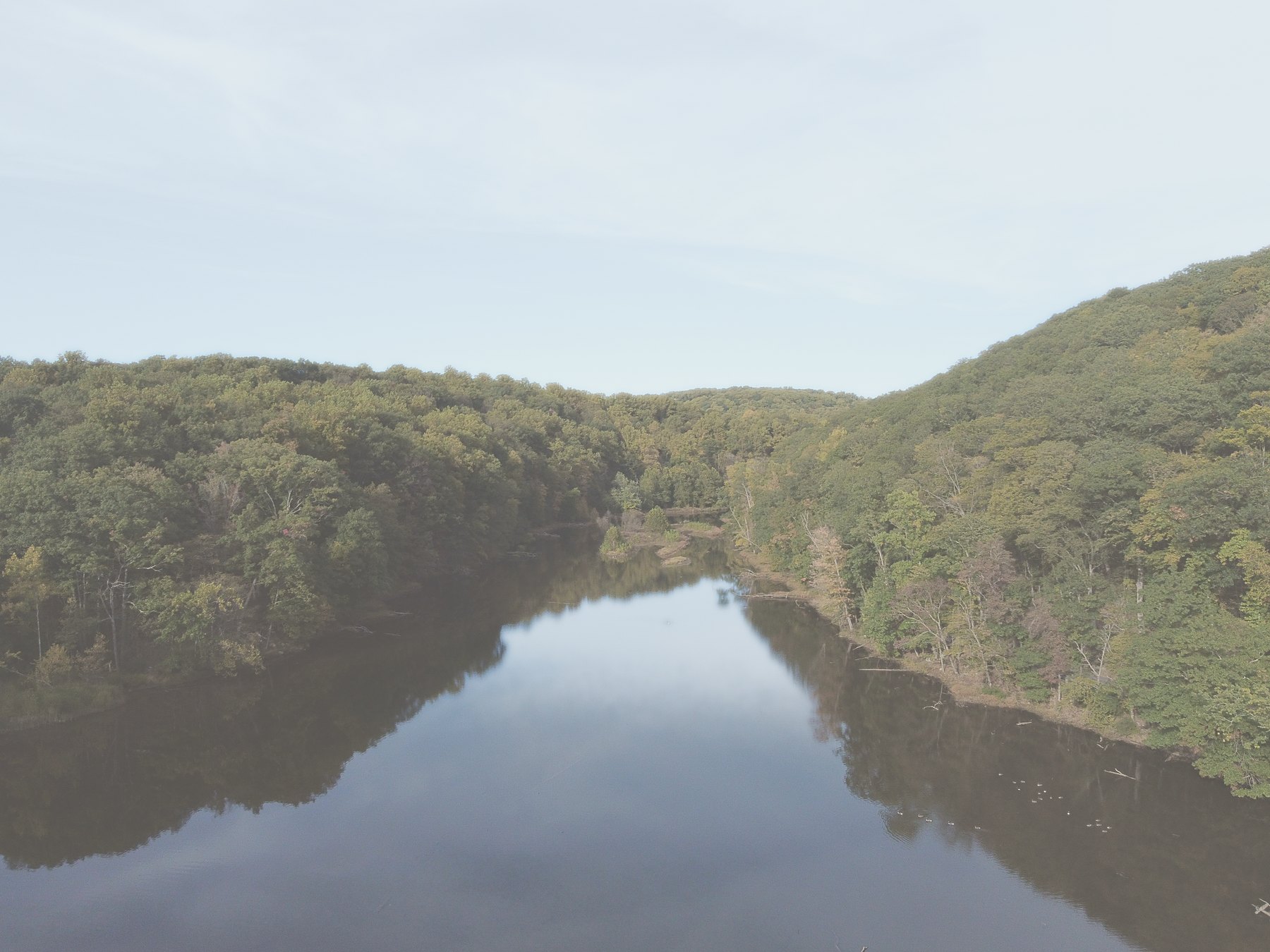 A mirror-calm river between wooded banks under a soft sky